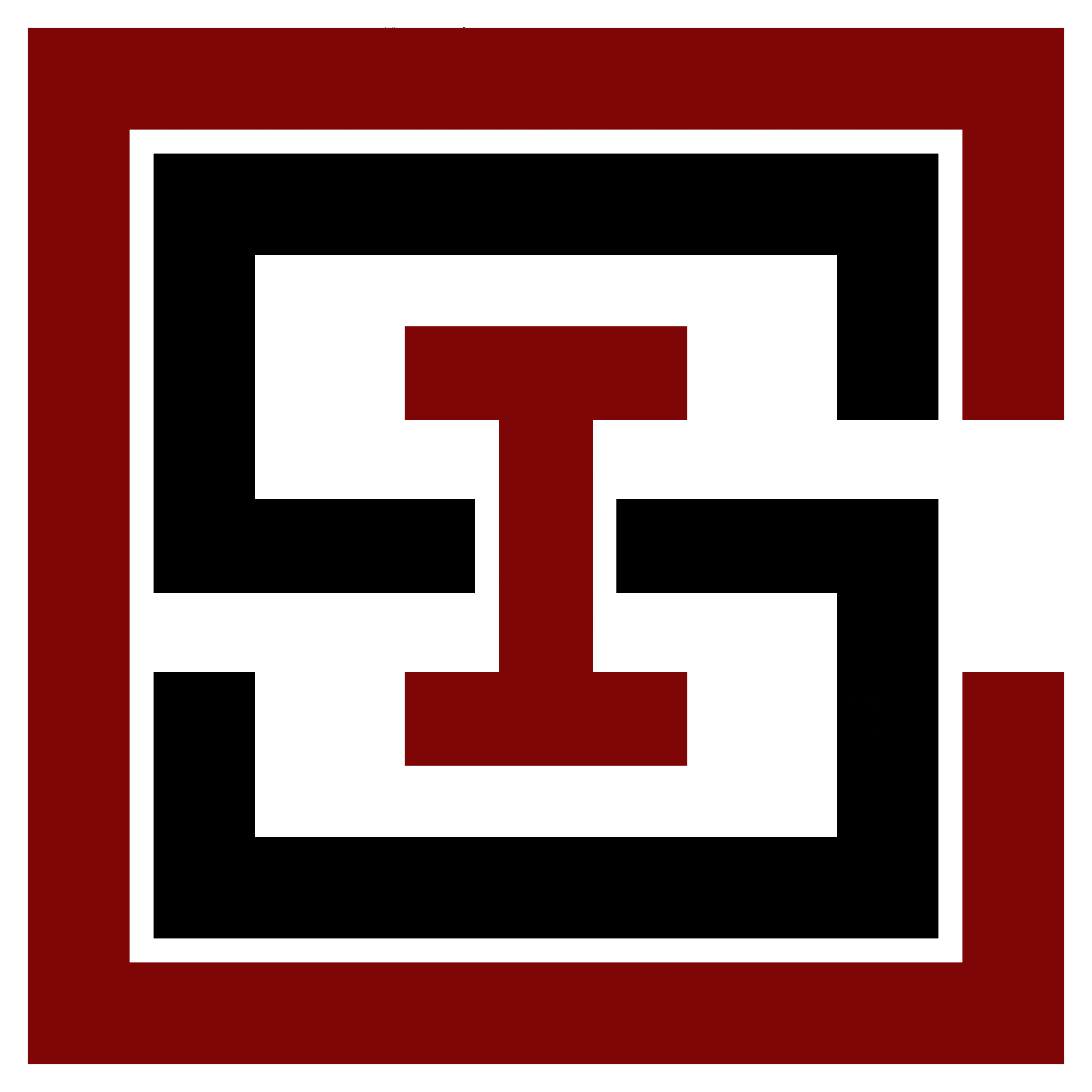 CRISINT logo